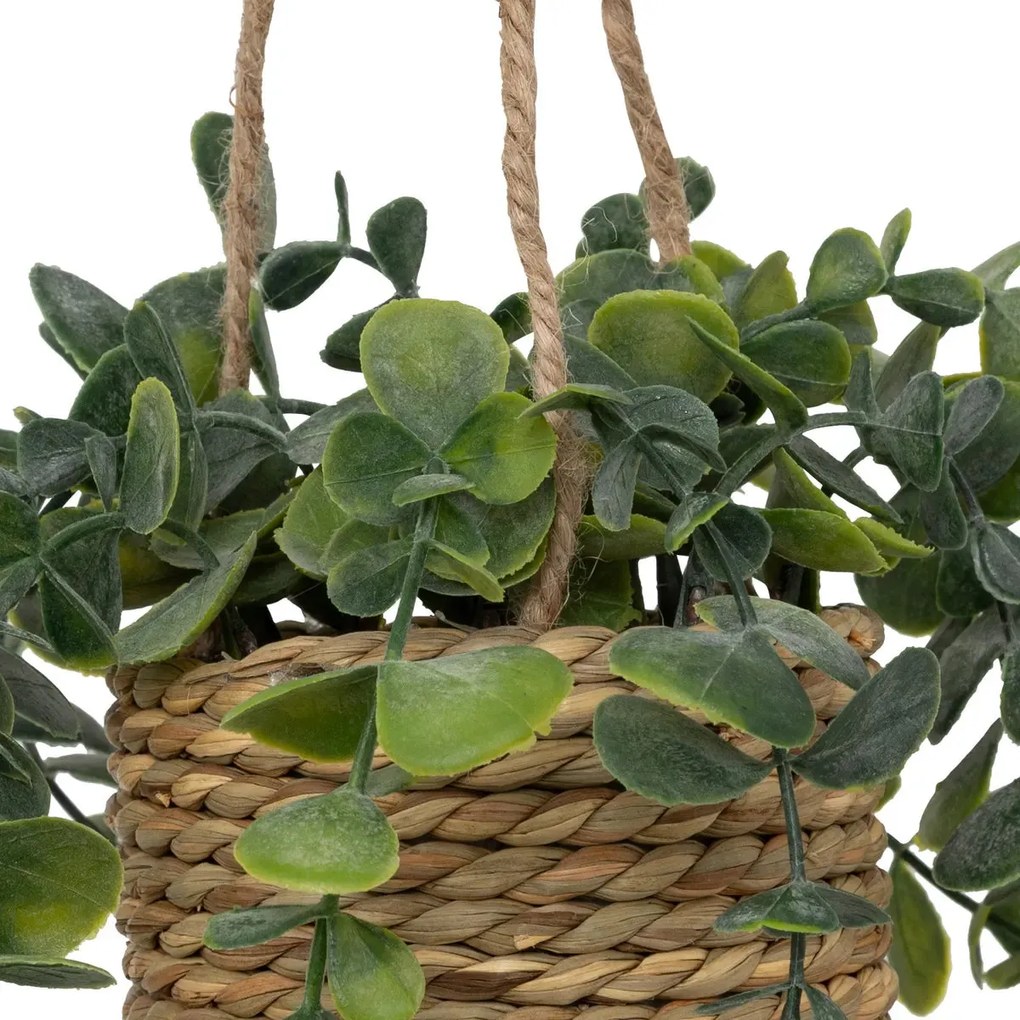 Изкуствено растение atmosphera Patri Hanging, 50 cm, Различни видове