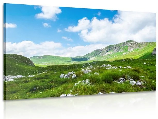 Картина на платно – Долина в Черна гора