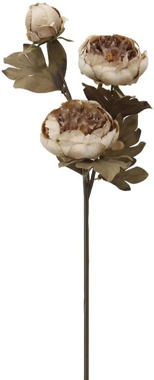 Декоративно цвете Peony 65-Бежово-кафяво (12 τεμάχια)