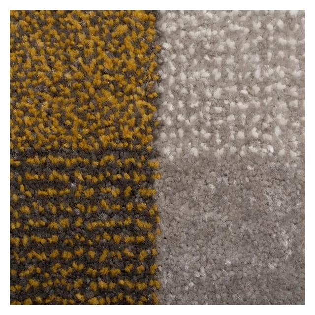 Сив и жълт килим , 120 x 170 cm Plaza - Flair Rugs