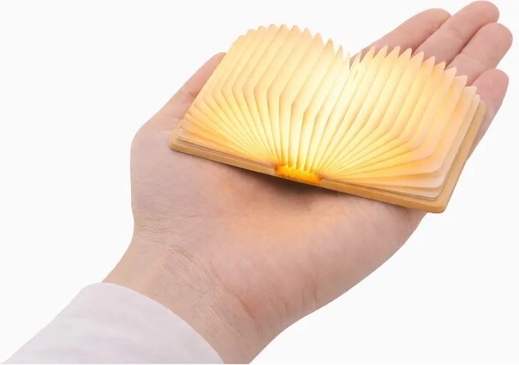 Преносима светлинна декорация с USB в естествен цвят BookLight – Gingko