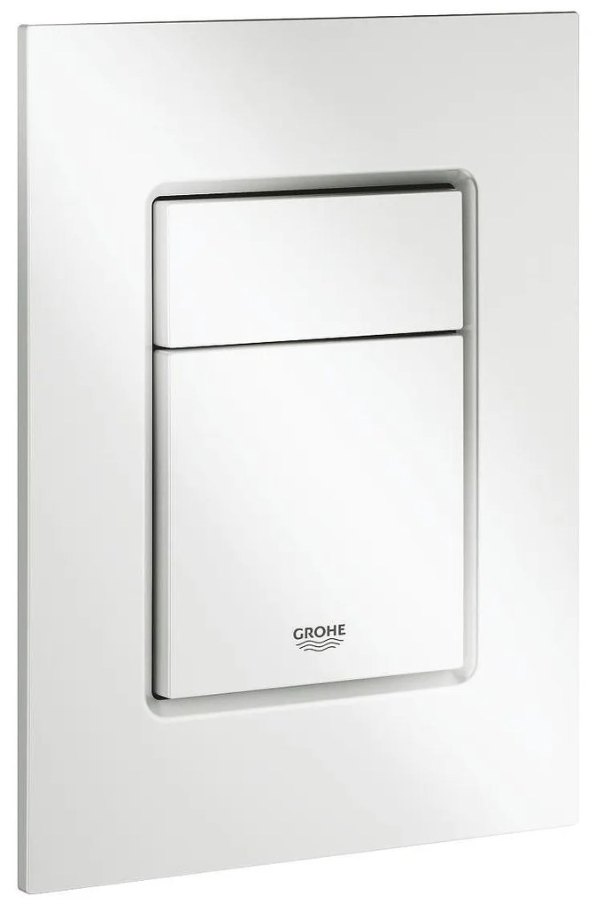 Skate Cosmopolitan S Бутон