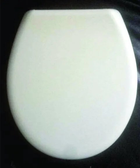 Тоалетна седалка ICST 594