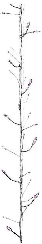 LED Коледни интериорни лампички NANO 100xLED/3xAA 2,9m розов