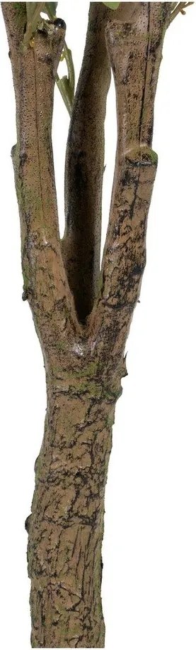 Изкуствен евкалипт (височина 173 cm) Eucalyptus – Ixia