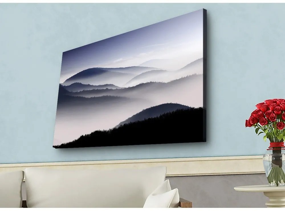 Живопис 70x45 cm - Wallity