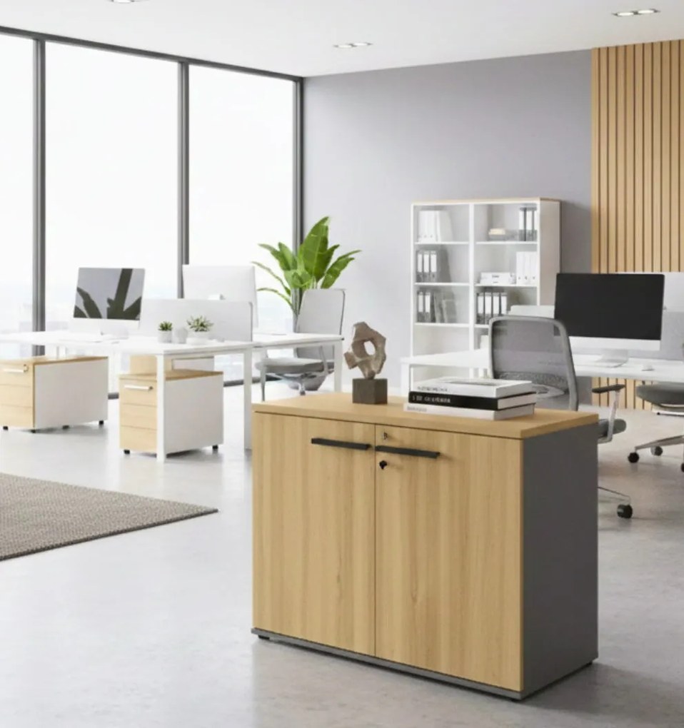 Кабинет Storix-Kafe