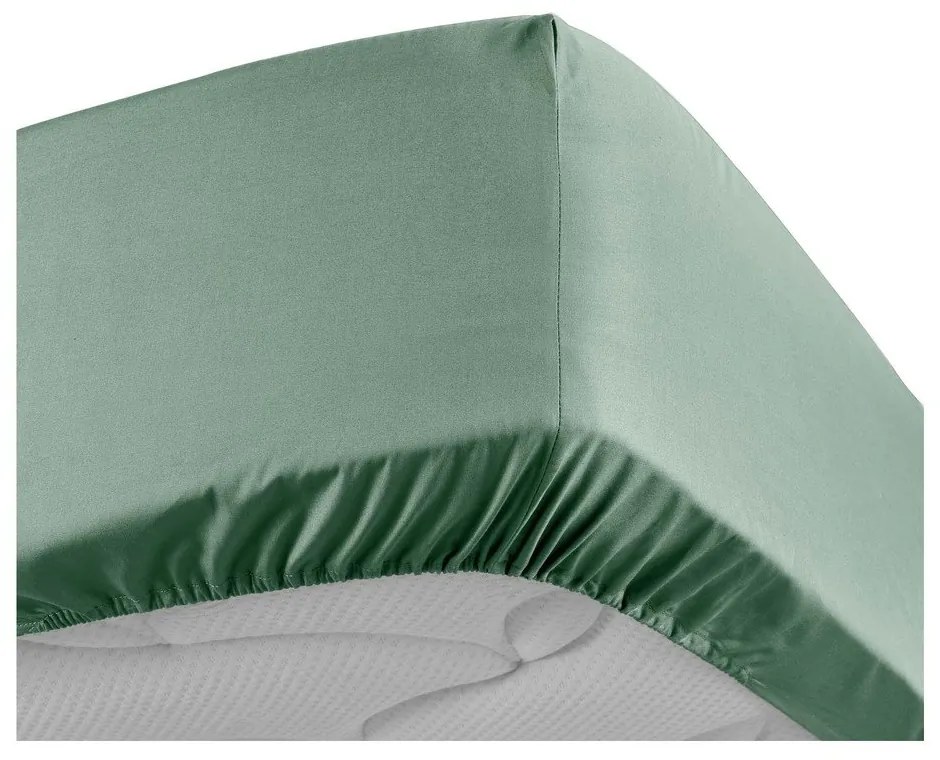 Зелен еластичен чаршаф от памук перкал 160x200 cm Percaline – douceur d'intérieur