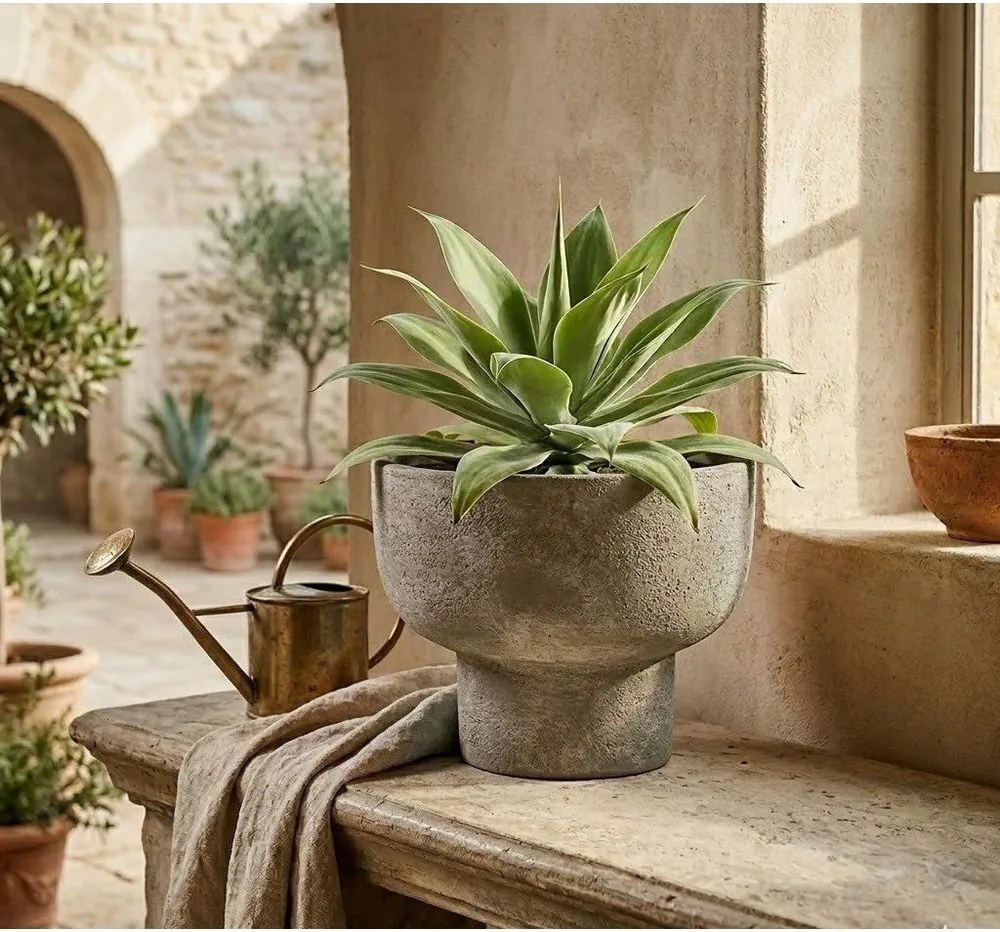 Теракотена саксия за цветя ø 30 cm Hector – Bizzotto