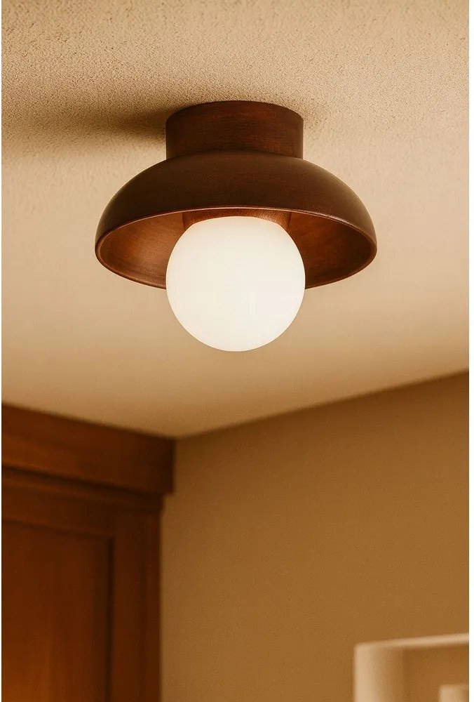 Кафяво осветително тяло за таван със стъклен абажур ø 24 cm Elsa – Opviq lights