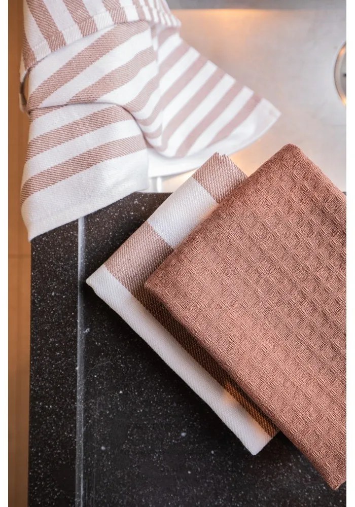 Памучни кърпи за съдове в комплект от 3 бр. 51x74 cm Marra – Tiseco Home Studio