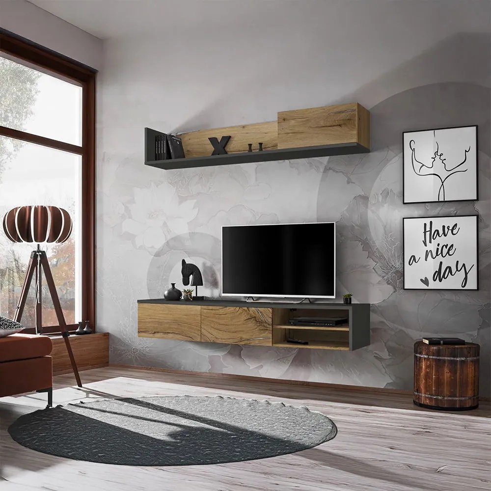 Холна секция Lizzy-Anthraki