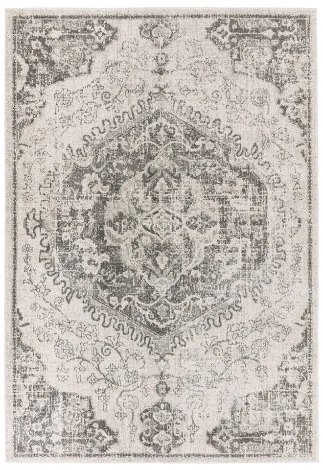 Сиво-кремав килим 120x170 cm Nova – Asiatic Carpets