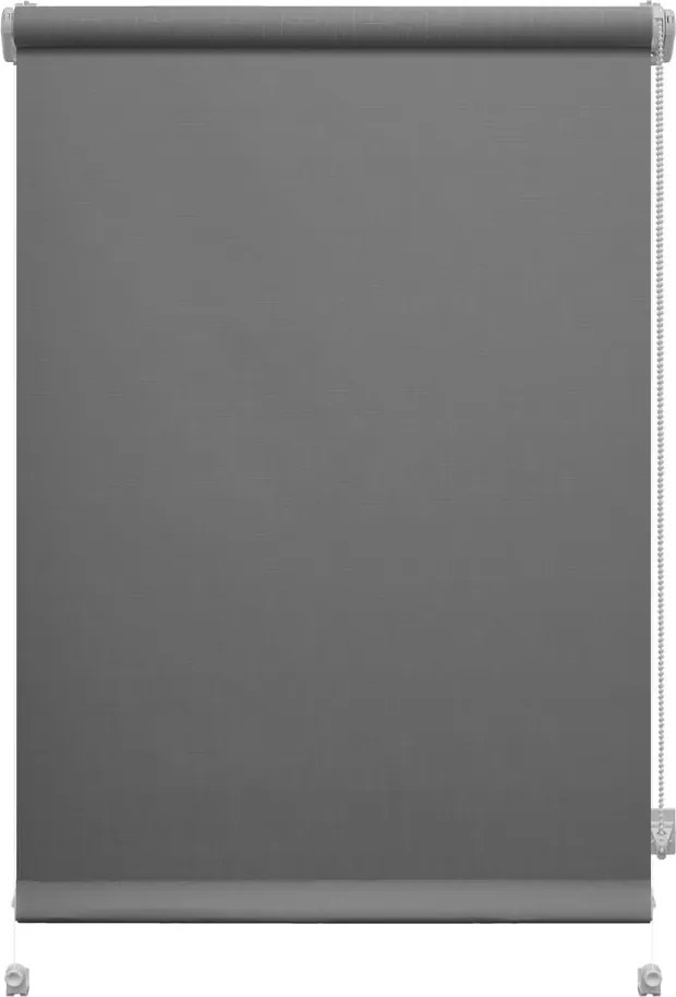 Тъмносива ролетна щора 97x150 cm Mini Sonata – Gardinia