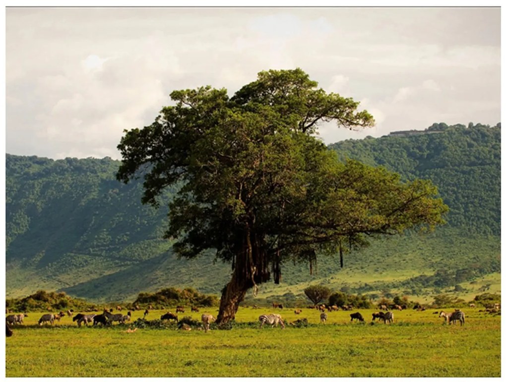 гоблен - В кратер на Ngoro ngoro 200x154