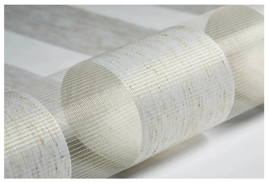 Ролетна щора ден и нощ в естествен цвят 42,5x150 cm Zebra Silvalin – Gardinia