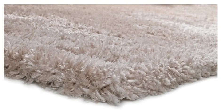 Бежов килим Aloe Liso, 120 x 170 cm - Universal