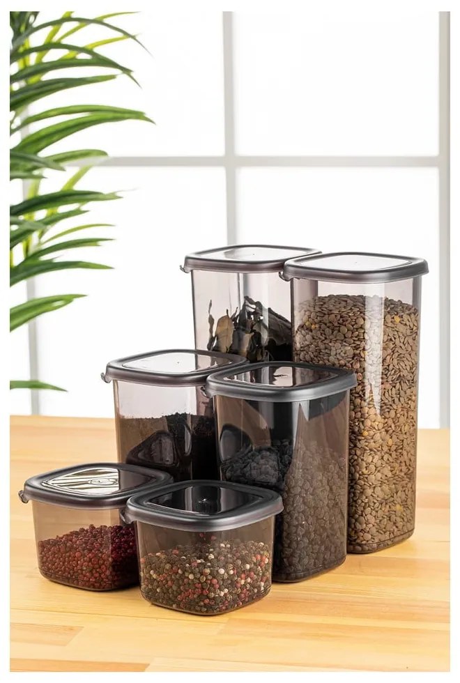 Кутии в комплект 6 бр. за храна Fresco – Hermia