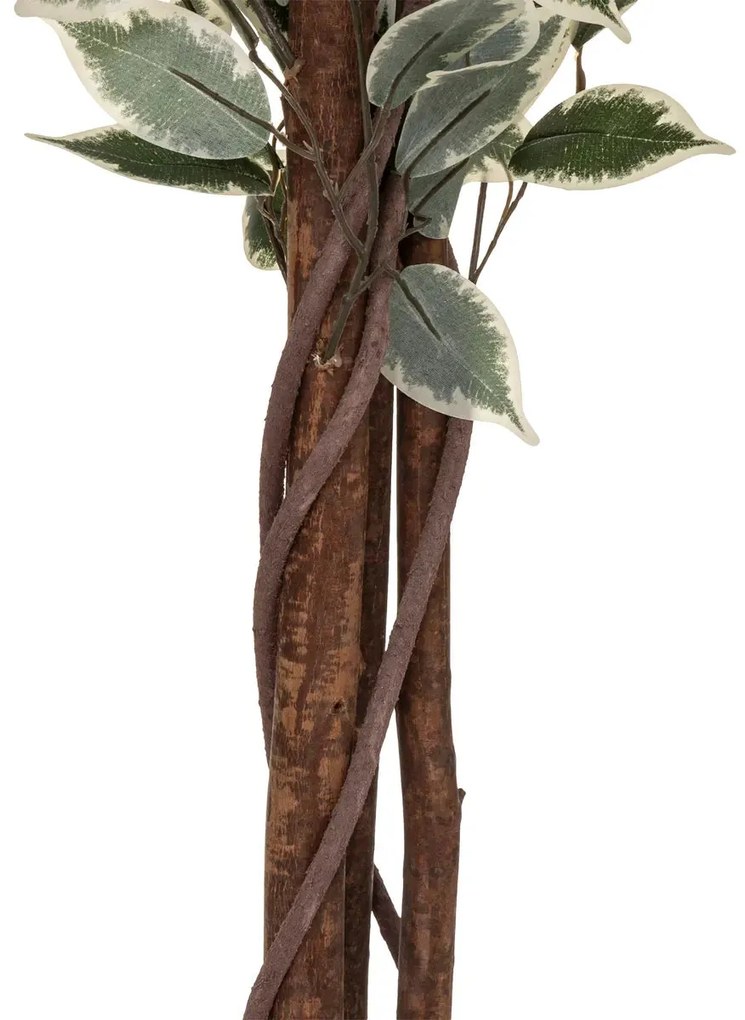 Изкуствено растение atmosphera Fig Tree, 180 cm, Двуцветно