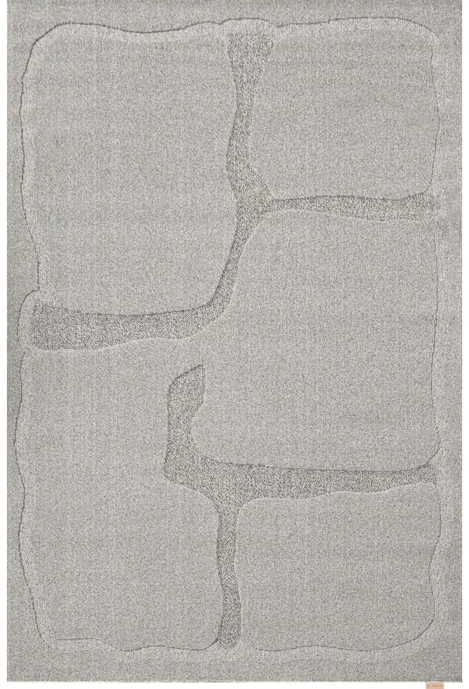 Сив вълнен килим 200x300 cm Morphic Organica – Agnella
