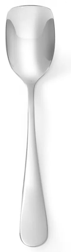 Комплект от 12 лъжици за сладолед от неръждаема стомана Profi Line - Hendi