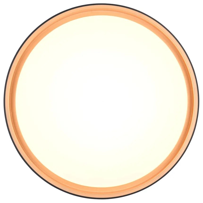 Черно LED осветително тяло за таван ø 40 cm Felis - Reality