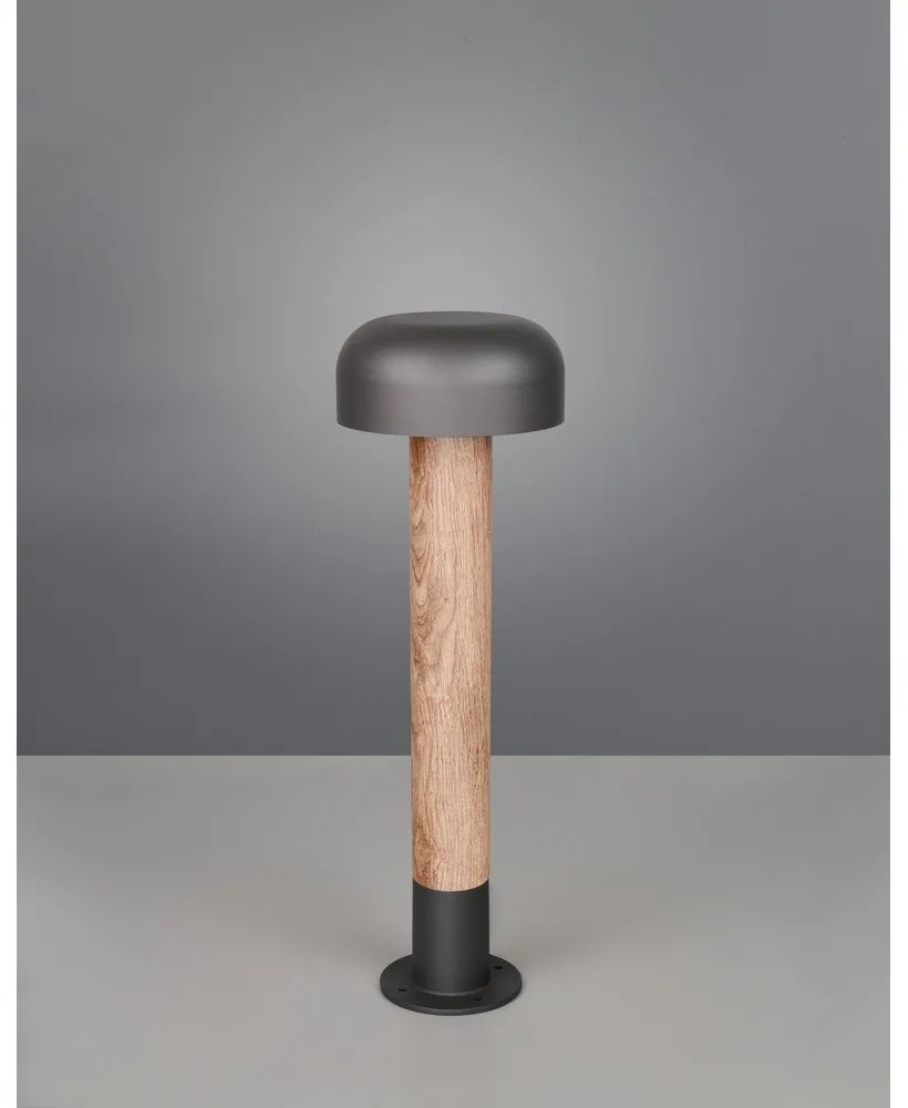 Колонно външно осветително тяло ø 19 cm Fraser – Trio