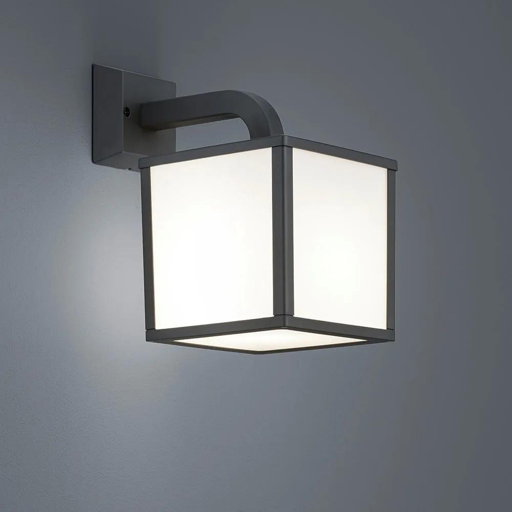 LED външна стенна лампа (височина 28 см) Cubango - Trio