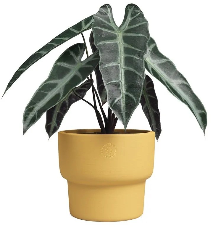 Керамична ръчно изработена саксия за цветя ø 17 cm Echo – Artevasi