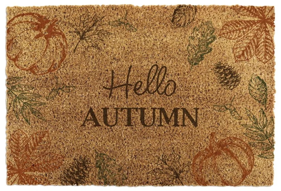 Изтривалка от кокосови влакна 40x60 cm Hello Autumn – Artsy Doormats