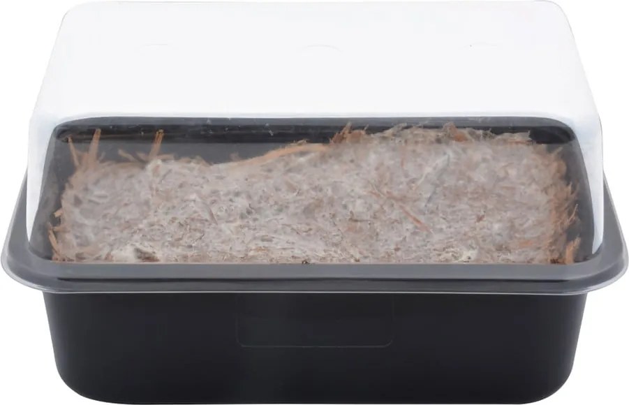 Разсадник за растения Field Mushroom – Esschert Design