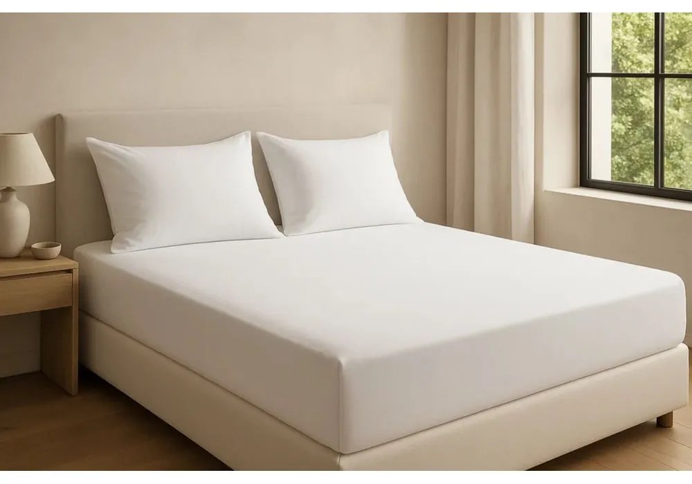 Бял еластичен чаршаф от памук Renforcé 200x140 cm Ranforce – Mila Home Luxury