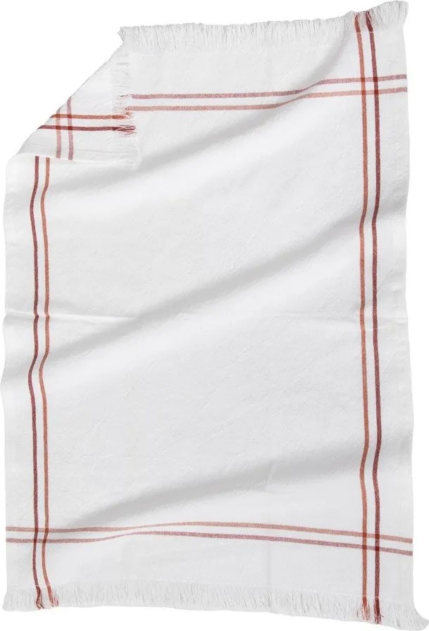 Памучни кърпи за съдове в комплект 3 бр. 50x70 cm Cavendish – Tiseco Home Studio