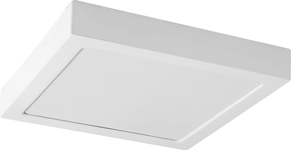 Rabalux Shaun2 Вградени и повърхностно монтирани лампи IP20 LED 24W 3000K 71209