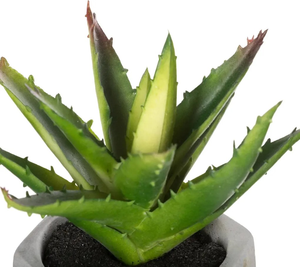 Изкуствено растение atmosphera Succulent, 14 cm, Различни видове