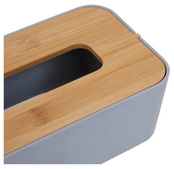 Пластмасова кутия за носни кърпички Canyon - Premier Housewares