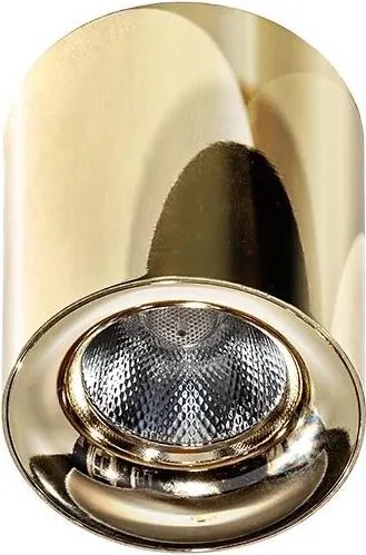 Azzardo AZ2846 - LED таванно осветително тяло MANE LED/10W/230V