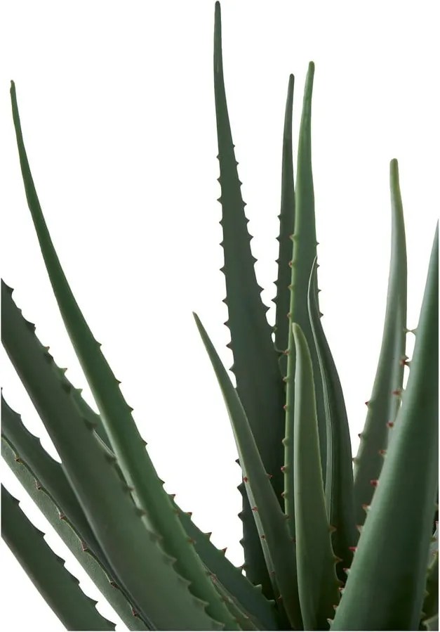 Изкуствено растение (височина 51 cm) Aloe Vera – House Nordic