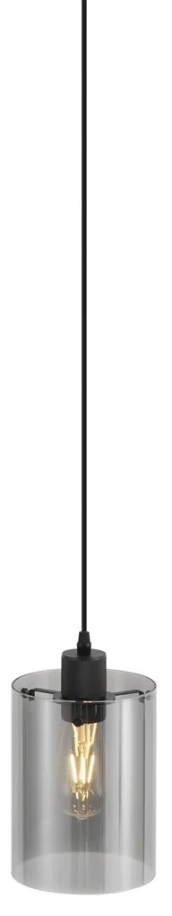 Модерен прожектор черен с димно стъкло за 1-фазна релсова система - Iconic Dome