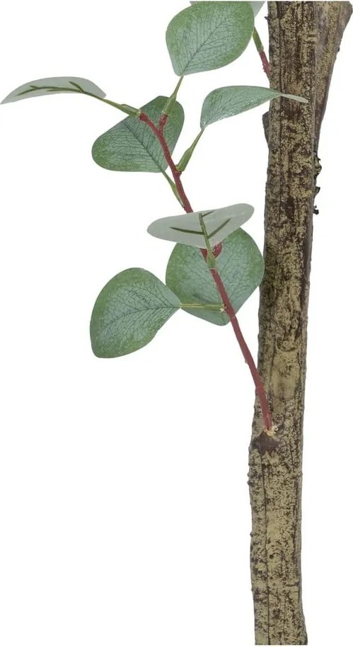 Изкуствен евкалипт (височина 180 cm) Eucalyptus – Ixia