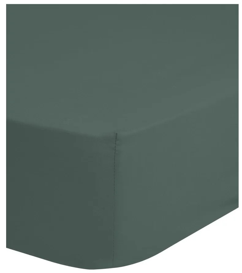 Зелено-сив разтегателен памучен чаршаф 140x200 cm – Good Morning