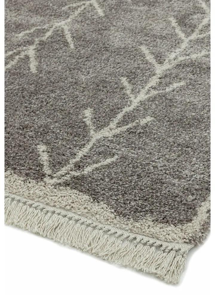 Сив килим 160x230 cm Rocco – Asiatic Carpets