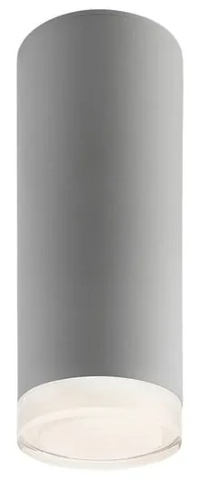 Сива таванна лампа със стъклен абажур - LAMKUR