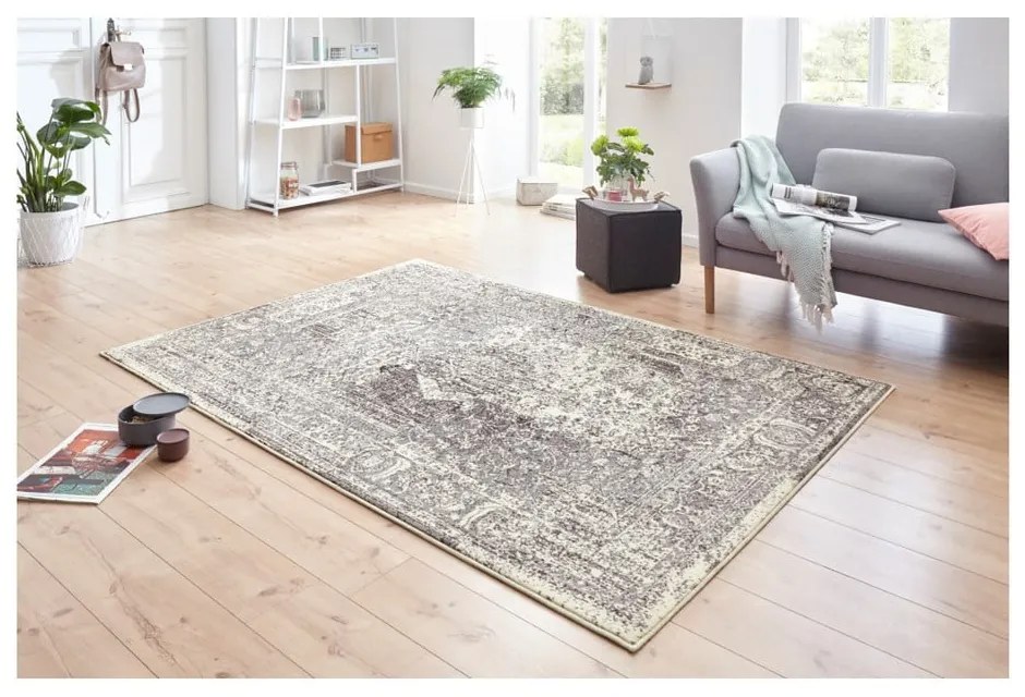 Сив и кремав килим Celebration , 120 x 170 cm Plume - Hanse Home