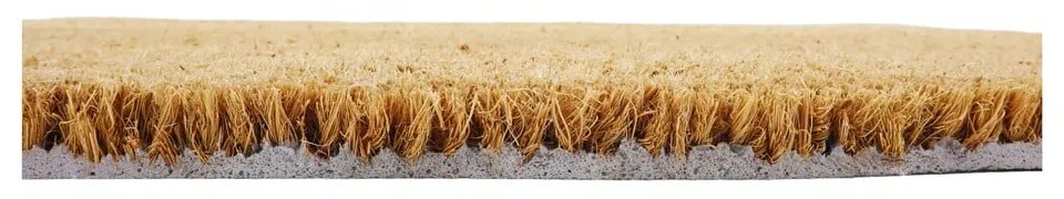 Изтривалка от кокосови влакна 40x60 cm Ghost – Artsy Doormats