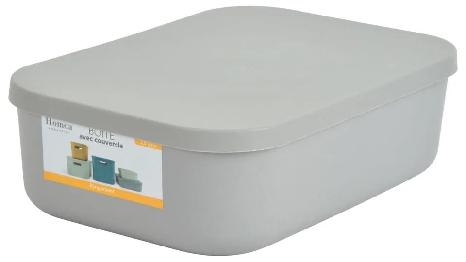 Сива пластмасова кутия за съхранение с капак 24x18x8 cm – Homéa
