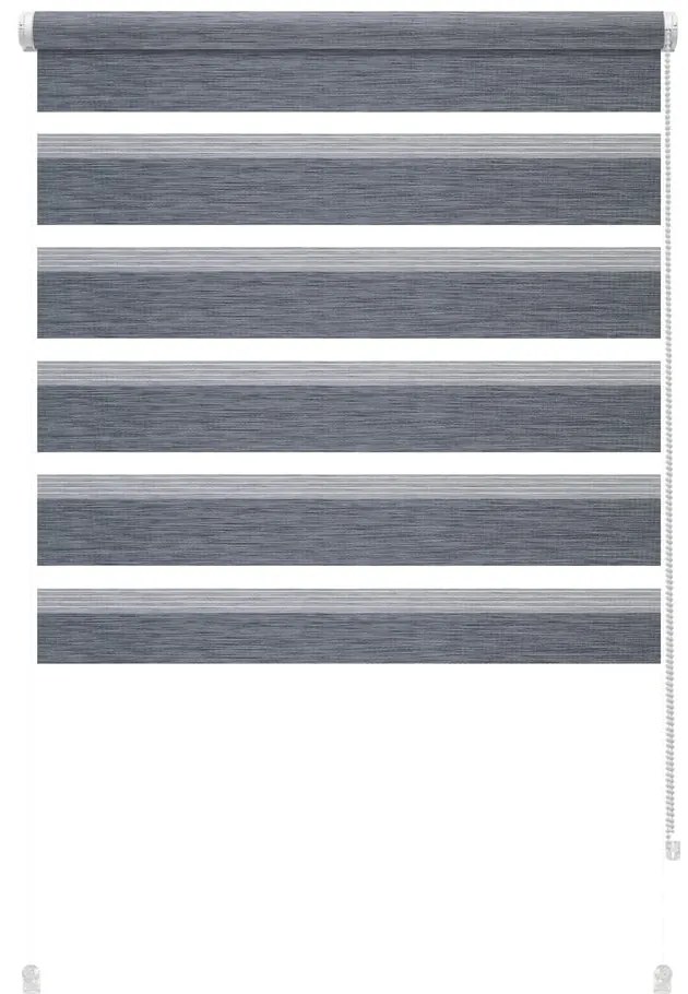 Антрацитна ролетна щора ден и нощ 42,5x150 cm Zebra Silvalin – Gardinia