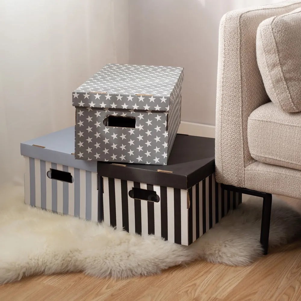 Картонени кутии за съхранение с капак в комплект от 2 броя Stripes - Compactor