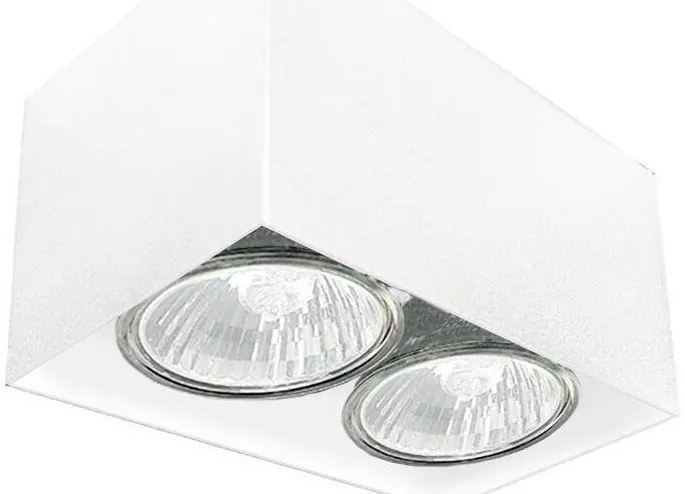 Brosline 1077 - Точково осветително тяло CAGE 2xGU10/10W/230V бяло