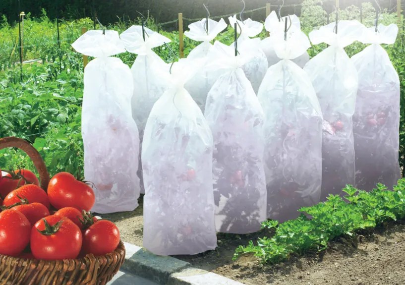 Nortene - Покривало за домати Tomatex 0.6 х 10м
